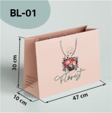 ตัวอย่างถุงแนวนอนขนาดใหญ่ Model BL-01